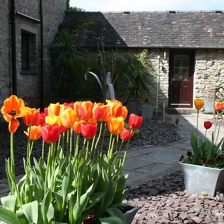 Birslack Grange Kendal Eksteriør billede